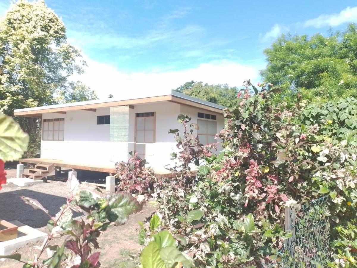 Temaeva Lodge نوكو هيفا المظهر الخارجي الصورة